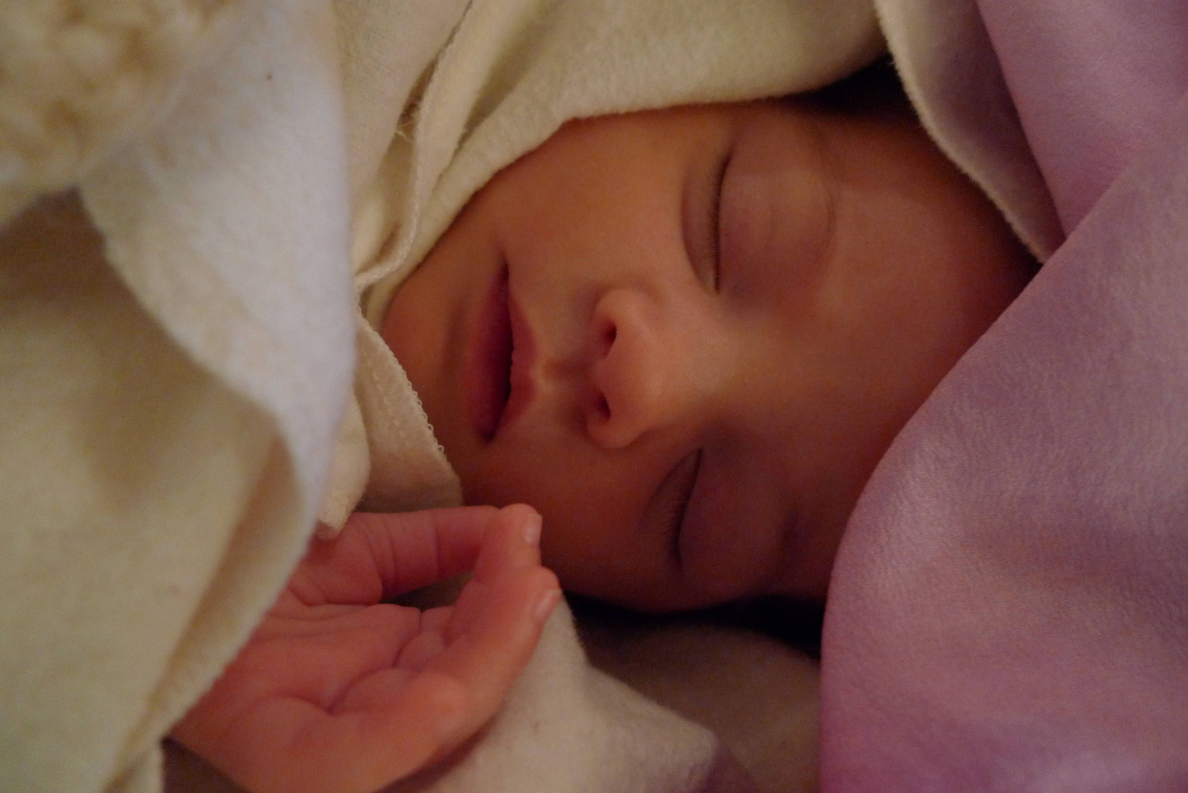 La petite fée est née ! Les fées du bienêtre
