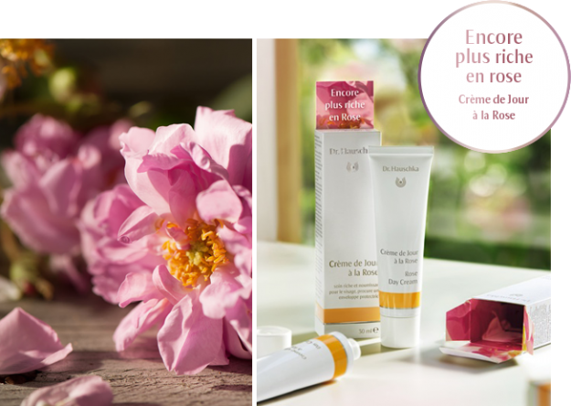 Les Fées du bien-être - Ax-les-thermes