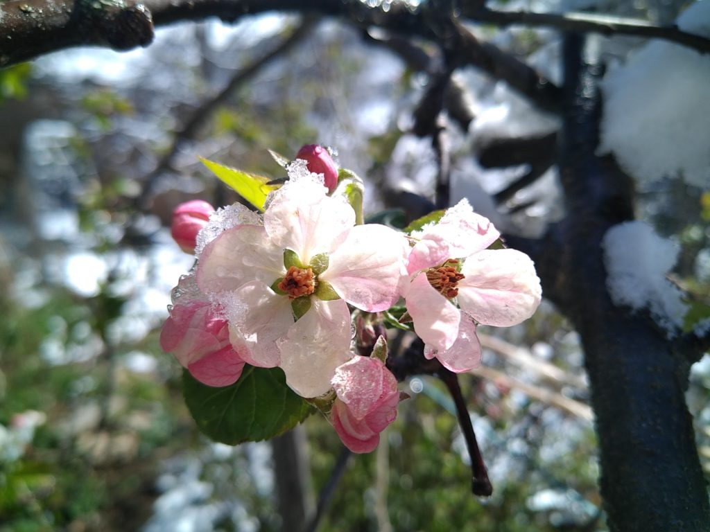 Les fées du bien-être Marianne Ax-les-thermes esthéticienne